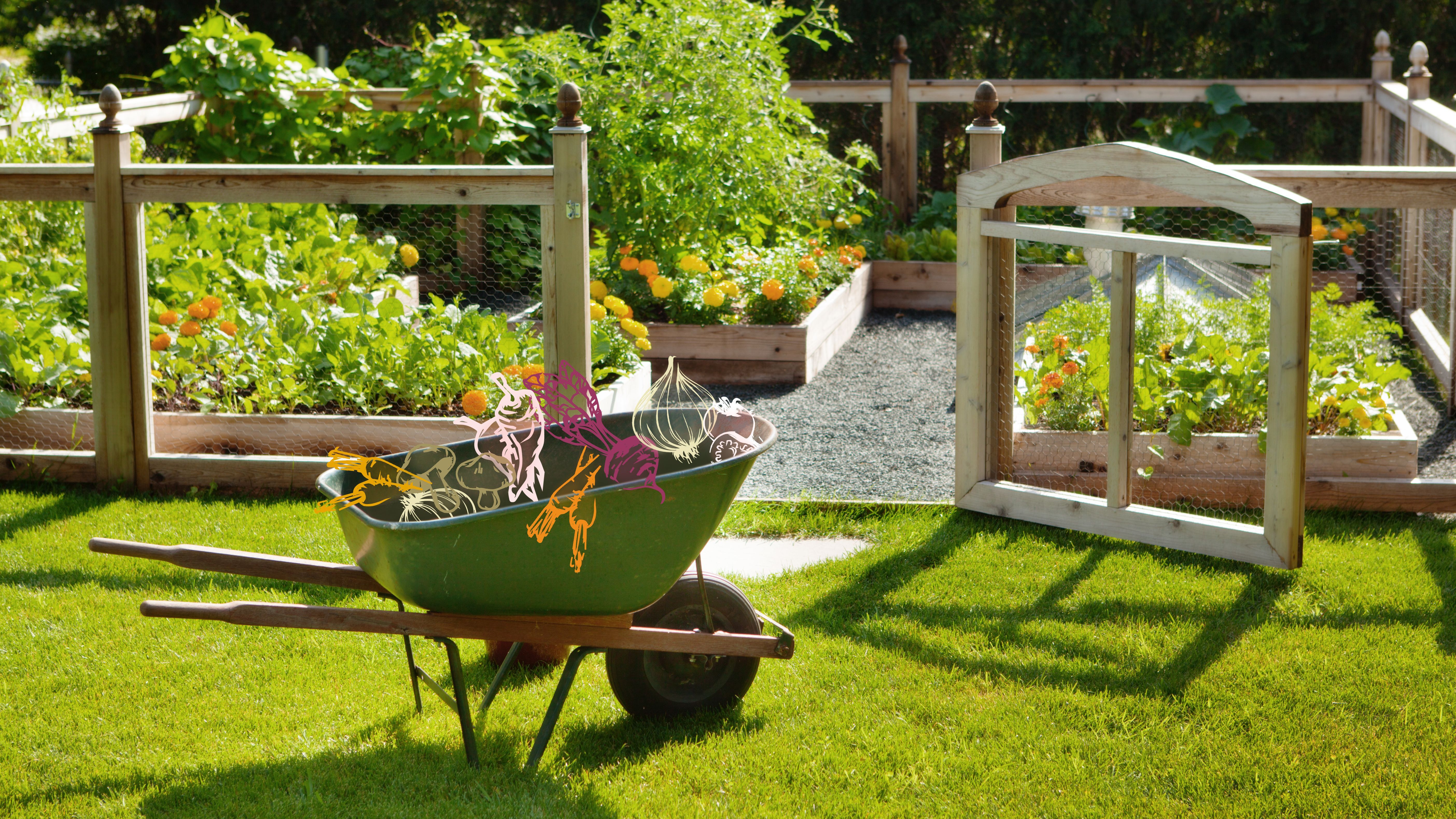 From Seed to Supper: A Beginner's Guide to Edib...