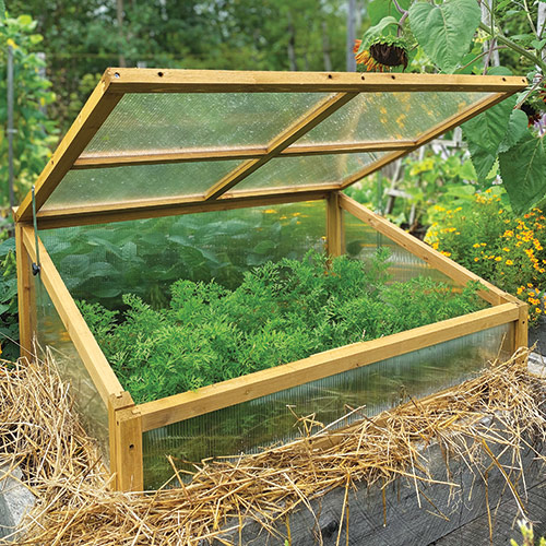 From Seed to Supper: How Cold Frames Extend You...