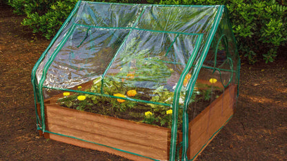 basket winter harvest greens cold frame