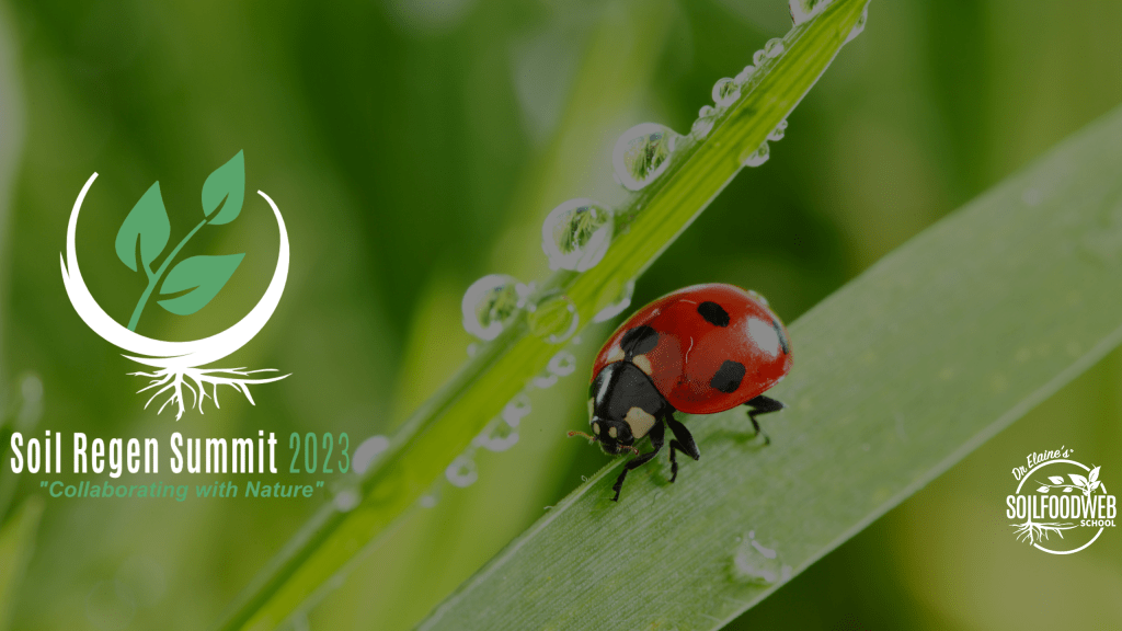 Revitalize Your Soil, Revitalize Your Garden: A Gu...