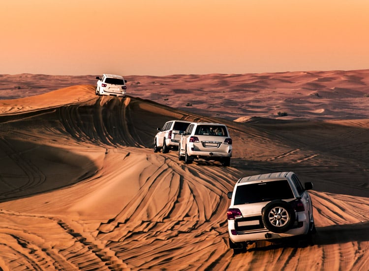 Exploring Desert Landscapes