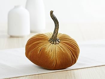 Embracing Autumnal Coziness: A Beginner's Guide...