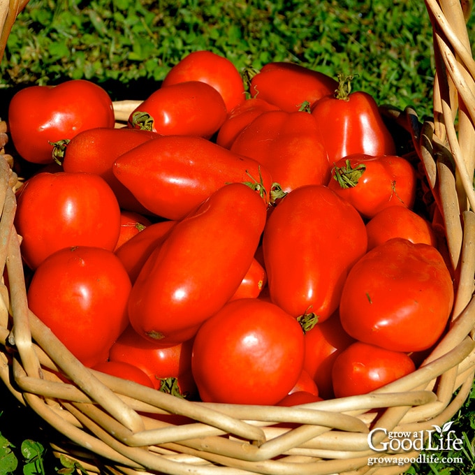 From Seed to Supper: A Beginner's Guide to Grow...