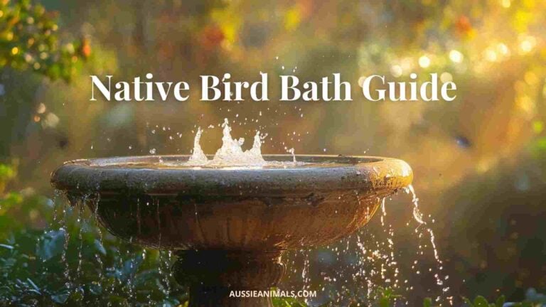 Beyond Bird Baths: 5 Charming DIY Water Feature...