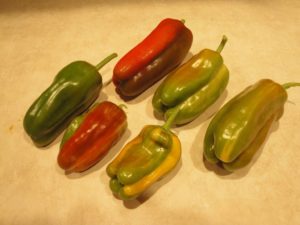 Boosting Backyard Biodiversity: Transform Your...