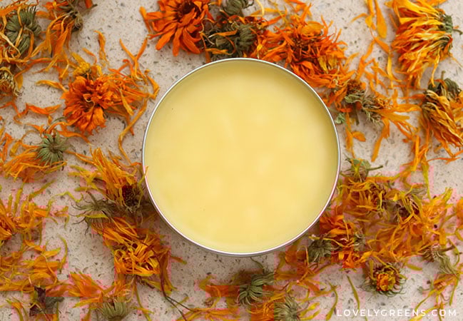 calendula salve