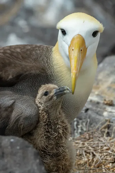 Galapagos Islands Landscape