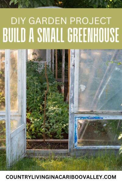Cheap Small Greenhouse