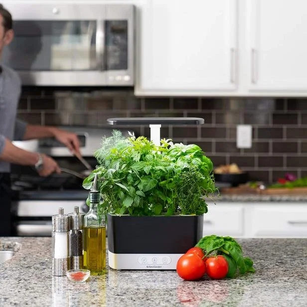 From Garden to Table: Savoring the Last Tomatoe...