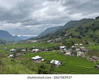 Sapa Rice Terraces