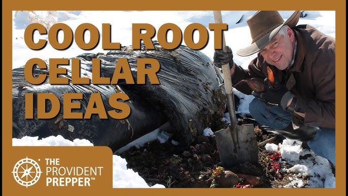 DIY Cold Storage