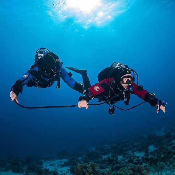 # Dive Deeper: Ethical Sea Adventures That Give Ba...