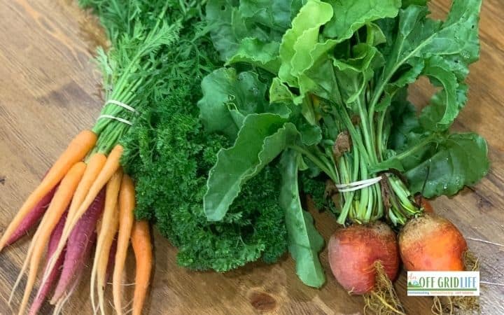 Ways to Secure Food Supply