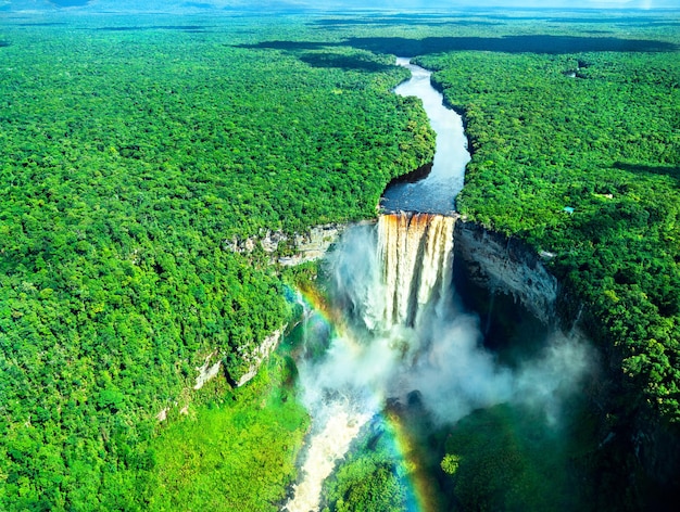# Guyana: Where Neotropical Wonders Meet Vibrant C...