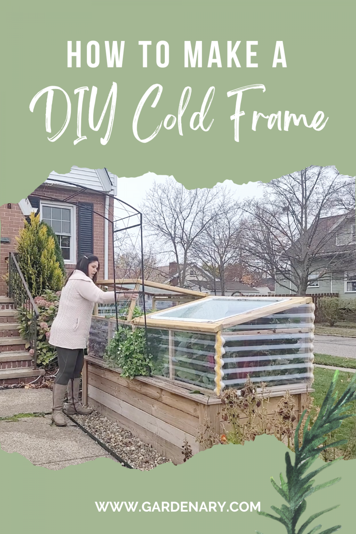 simple wood cold frame thriving vegetables