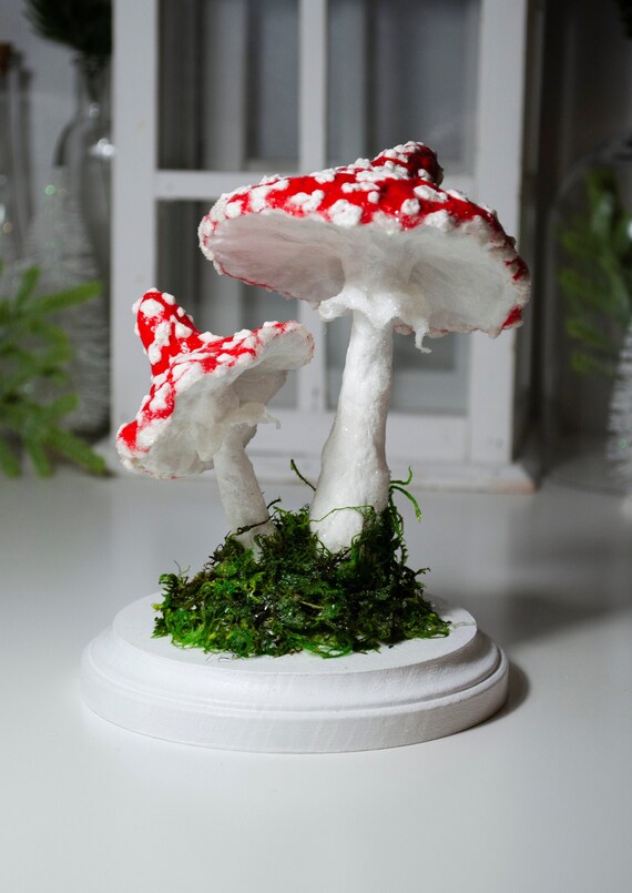 Close up of foraged items, moss, rocks and stems