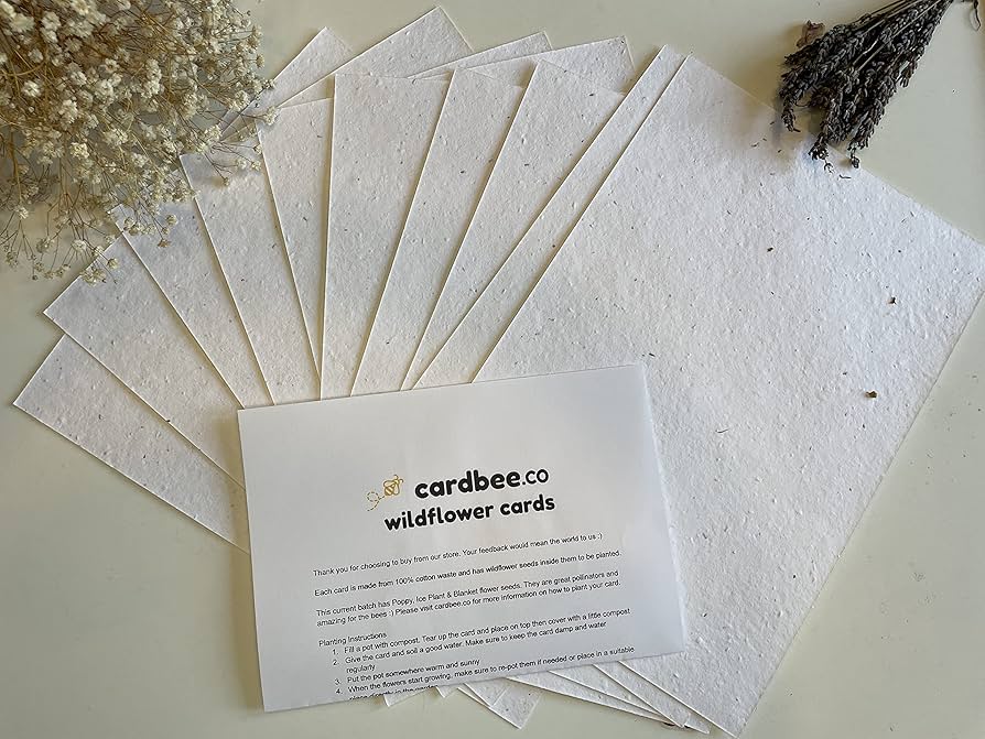 Seed Paper Holiday Cards: Sow Seeds of Joy & Red...