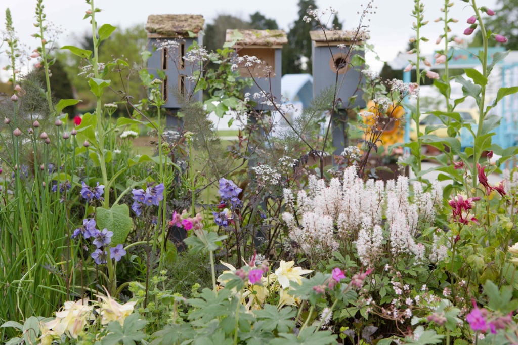 Herbaceous Harmony: Designing a Beautiful & Buz...