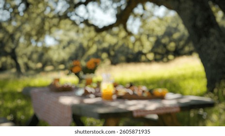 Table set for a rustic picnic on a blurred background