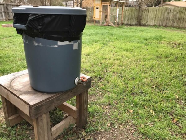 A green rainwater container in a lush garden.