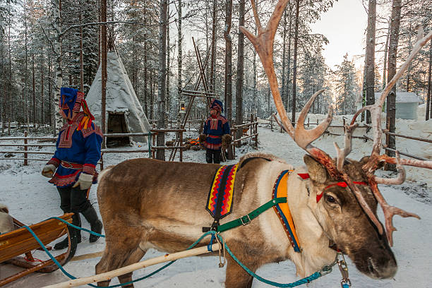 # Discover Unique Lapland Winter Adventures: Snow,...