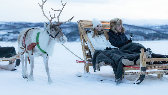 A Sami herder guides a reindeer sled through a snow-covered forest, showcasing the cultural heritage and traditional way of life.