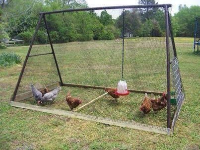 Disassembled pallets, ready for use in the chicken tractor