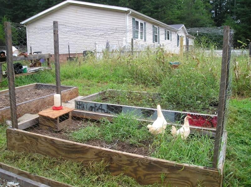 Chicken tractor hardware cloth base