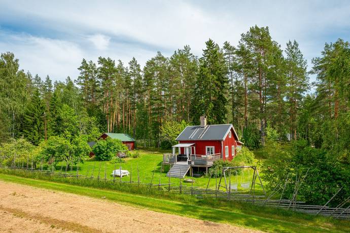 Transform Your Homestead with a DIY Low-Cost Roo...