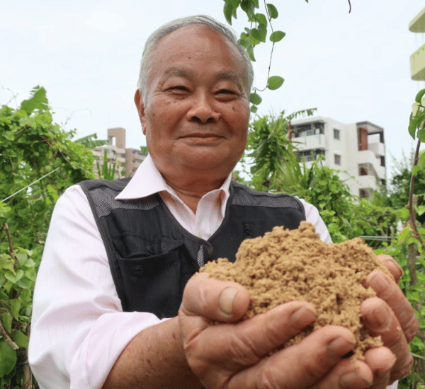 Gardener burying Bokashi pre-compost in a raised bed