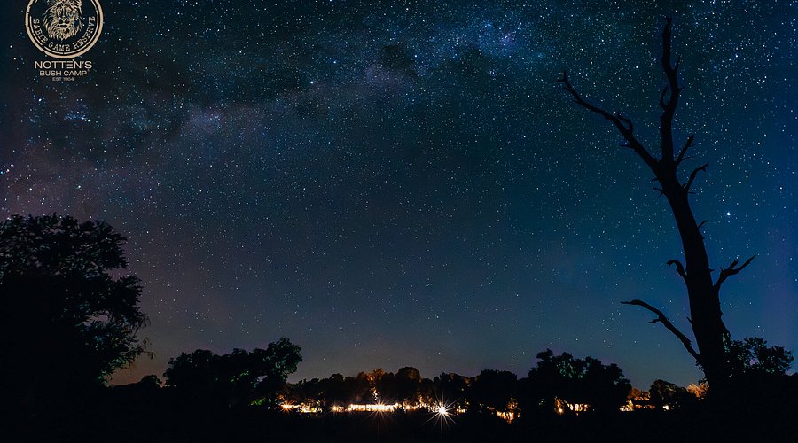 Hosi Mabasa points to the night sky, sharing his ancestral knowledge of Shangaan constellations and their cultural significance.