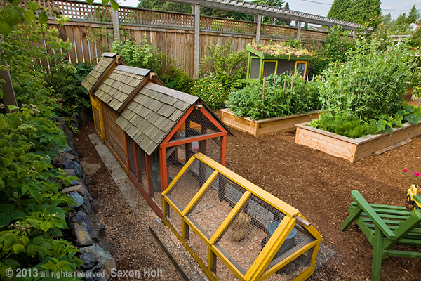 Chicken tractor lifted slightly, showing small wheels allowing movement across uneven, natural terrain, detail shot.