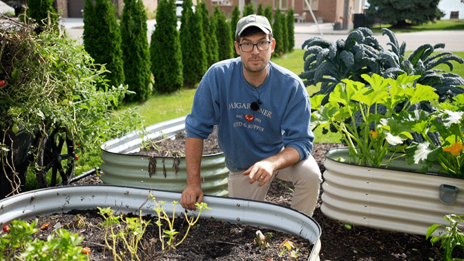 A design for a series of raised garden beds made from galvanized steel.