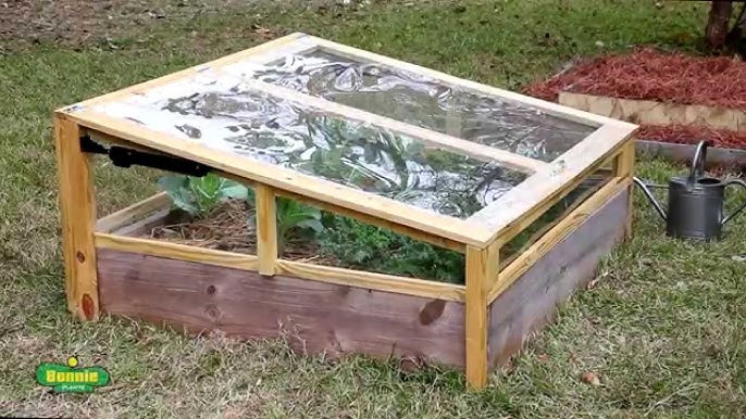 Man tending to plants in his cold frame