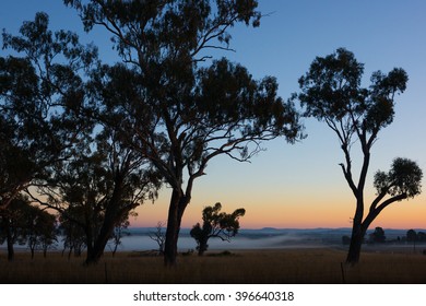 Overhead shot of a beautifully plated Appam and Stew, showcasing the textures and colors. Natural lighting and food styling emphasize the dish's appeal.