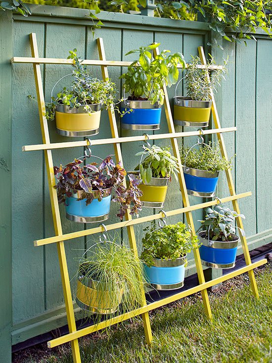 Beyond the Blooms: Creating a Fall/Winter Garde...