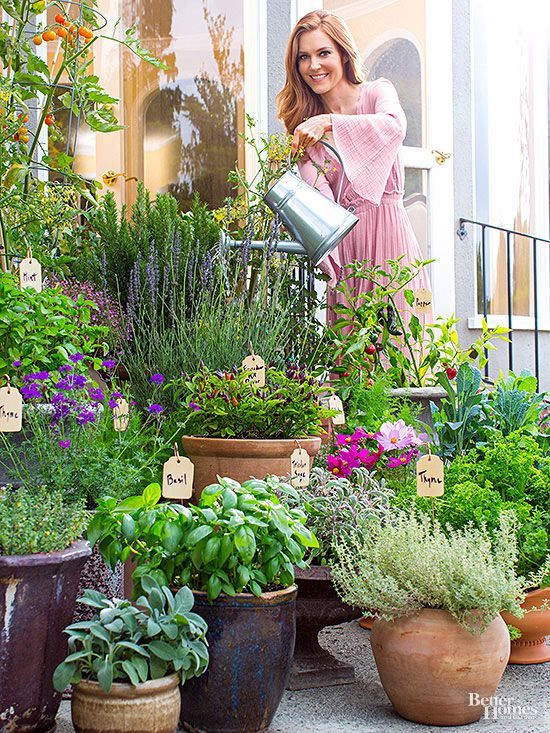A wide shot showcasing a variety of container types on a balcony: self-watering planters with tomato plants, fabric pots filled with peppers, and repurposed galvanized buckets overflowing with herbs. Capture the diversity and style of container gardening. Include details like colorful cushions and string lights to create a cozy atmosphere.