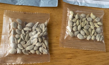Mystery Seeds and Homestead Biosecurity: An Ore...