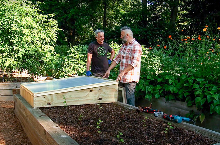 A close-up shot of the inside of a cold frame, showing healthy plants thriving in the protected environment.