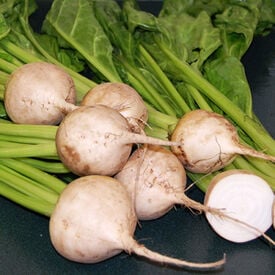 Avalanche beet