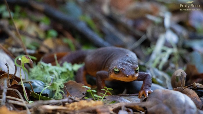 Sarah packing out a full trash bag from the campsite