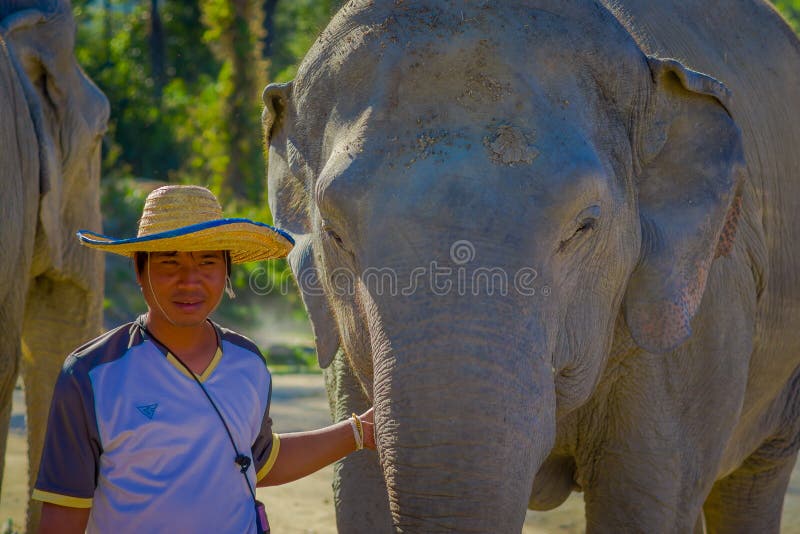 A meal featuring locally sourced ingredients, beautifully plated