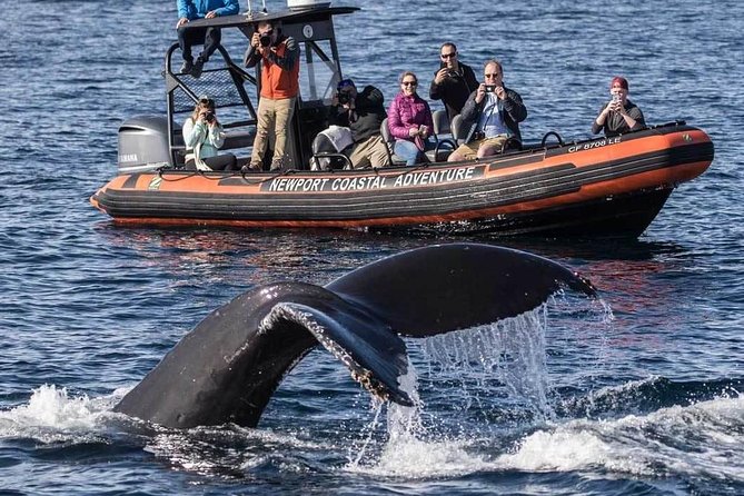 A couple snorkeling over a coral reef
