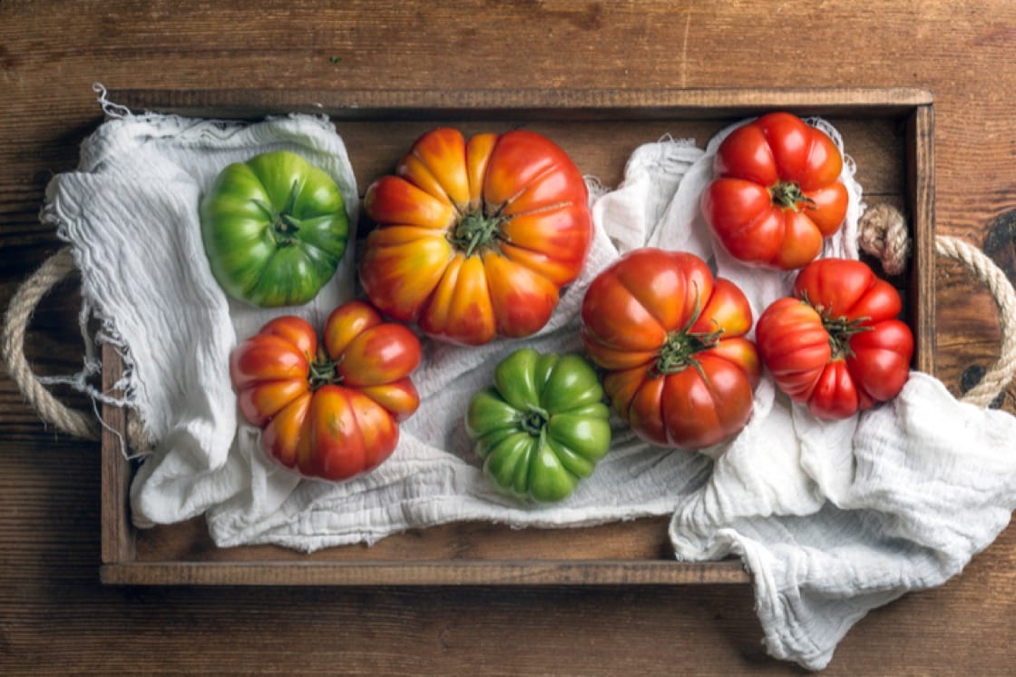 Close up heirloom tomato seeds hand