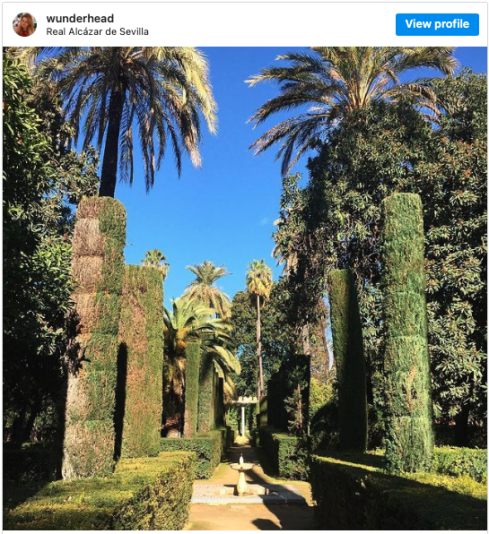 Pedro Ximénez Sherry Seville