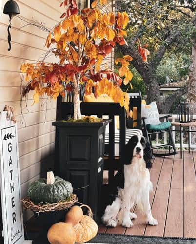 Farmhouse Decor