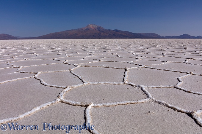 # Salar de Uyuni: Mateo's Photographic Journey

He...