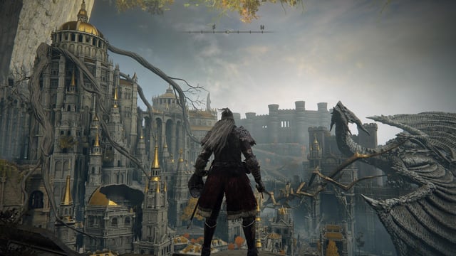 Economic and diplomatic management interfaces