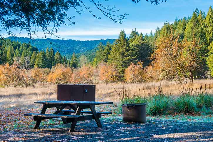 ## Redwood Creek Campground: A Family's Humorous (...