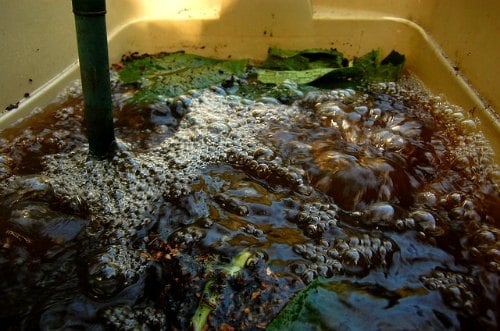 Close-up aerated compost tea bubbles